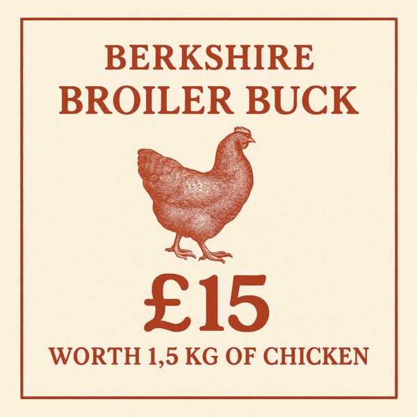 Berkshire Broiler Buck