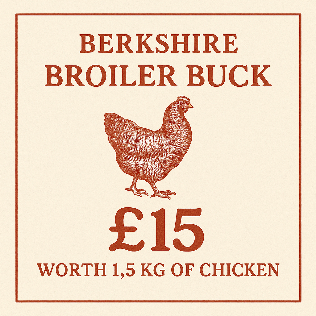 Berkshire Broiler Buck